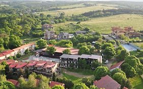 Sport Generation Camp